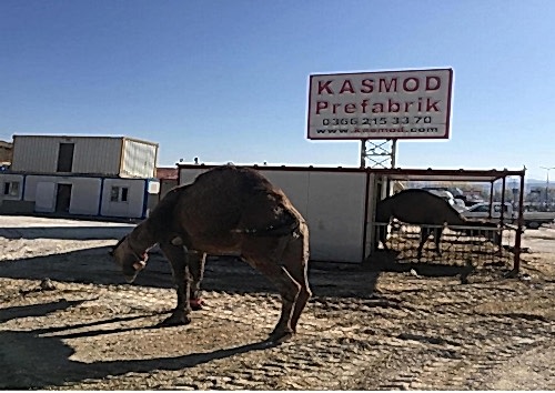 Kasmod Prafabrik'ten Olağan Gün 